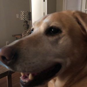 Meet your Posher, Jeff